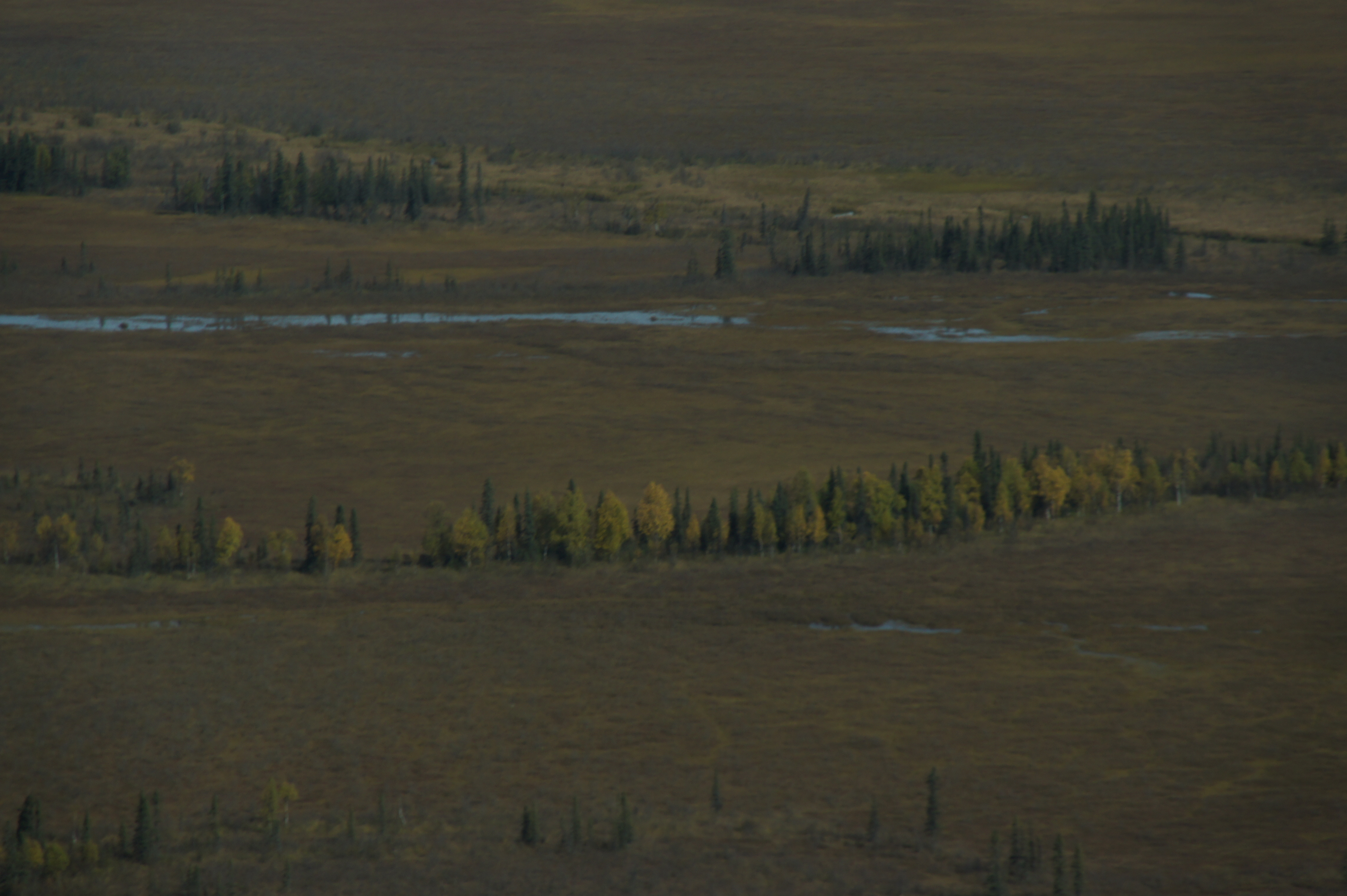 Click to return to the thumbnail index